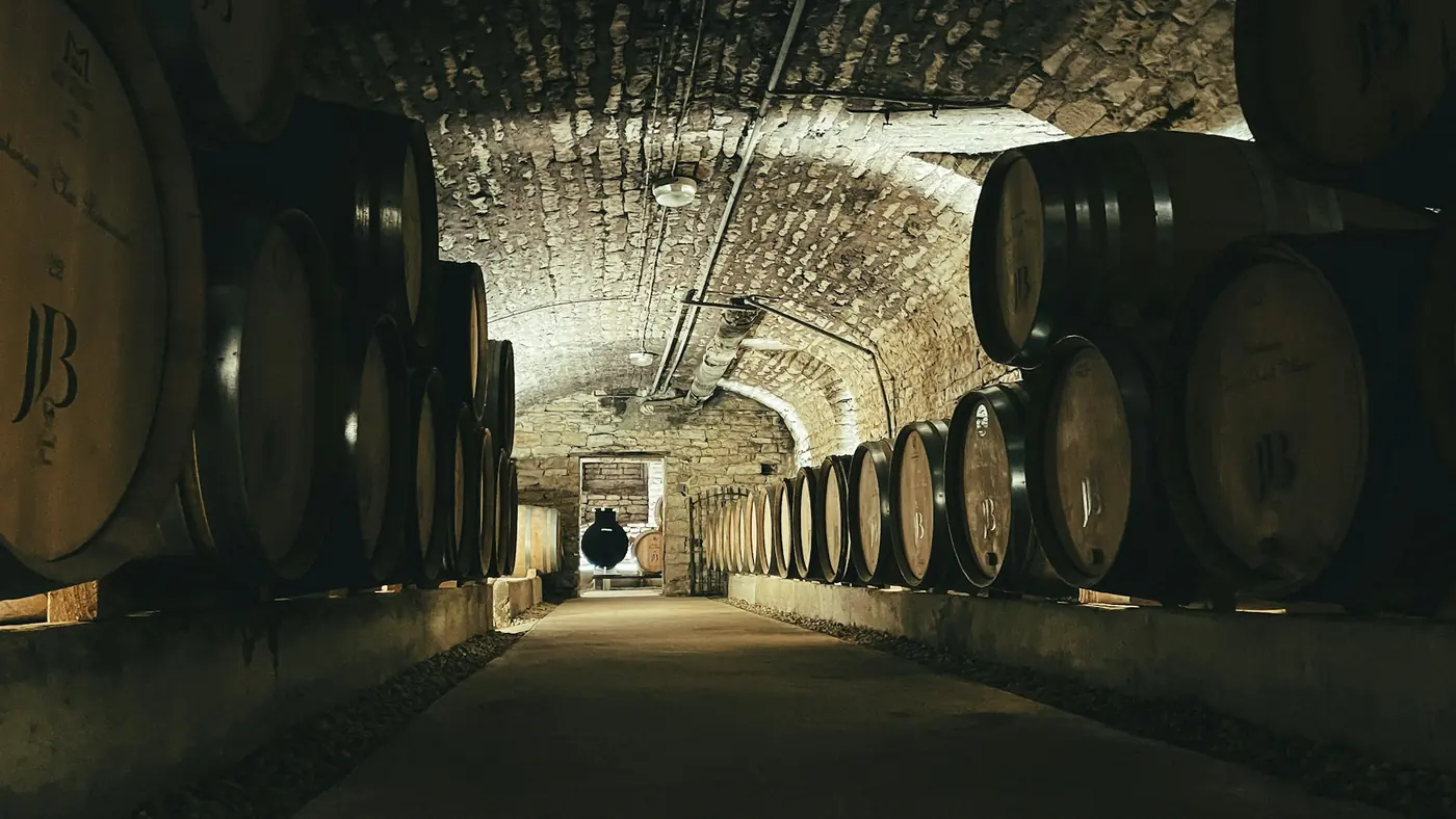 Grandi botti di legno allineate lungo una galleria di cantina