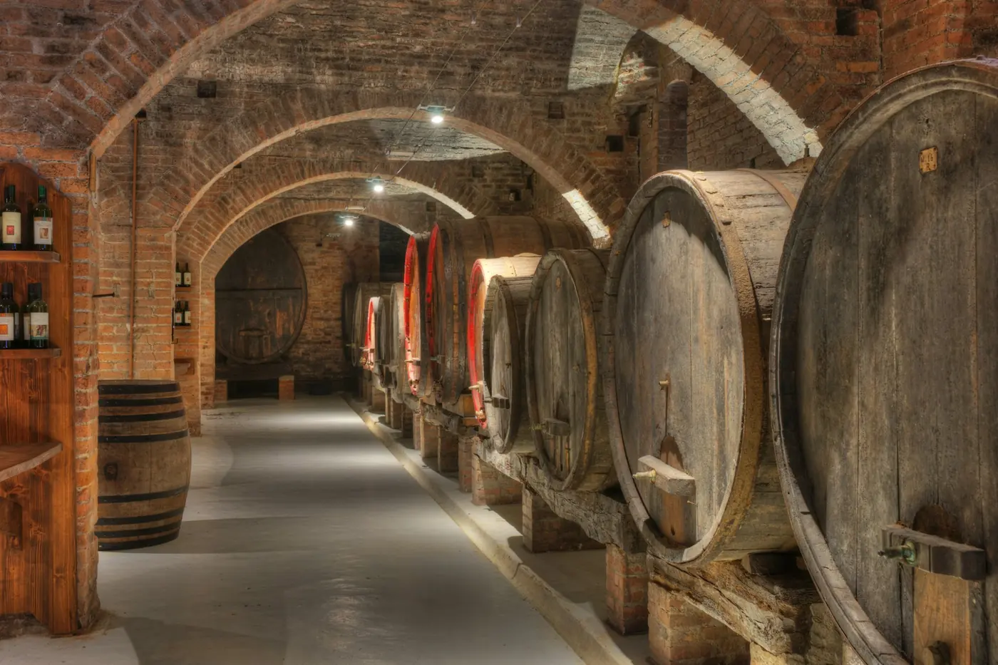 Botti di legno in una cantina con volte in mattoni